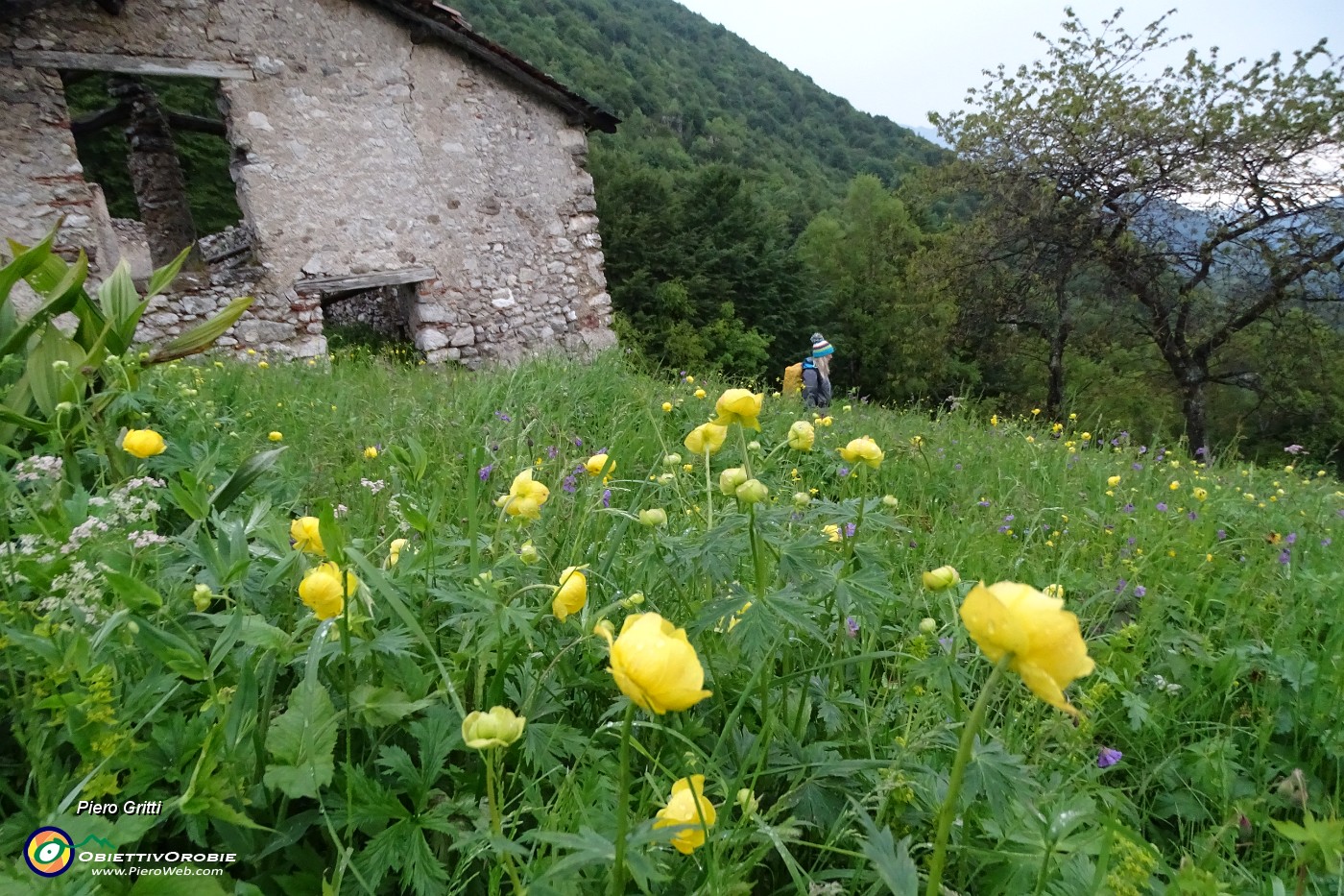 96 Rientriamo sotto la pioggia....JPG